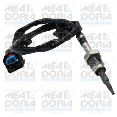 Sensor, exhaust gas temperature